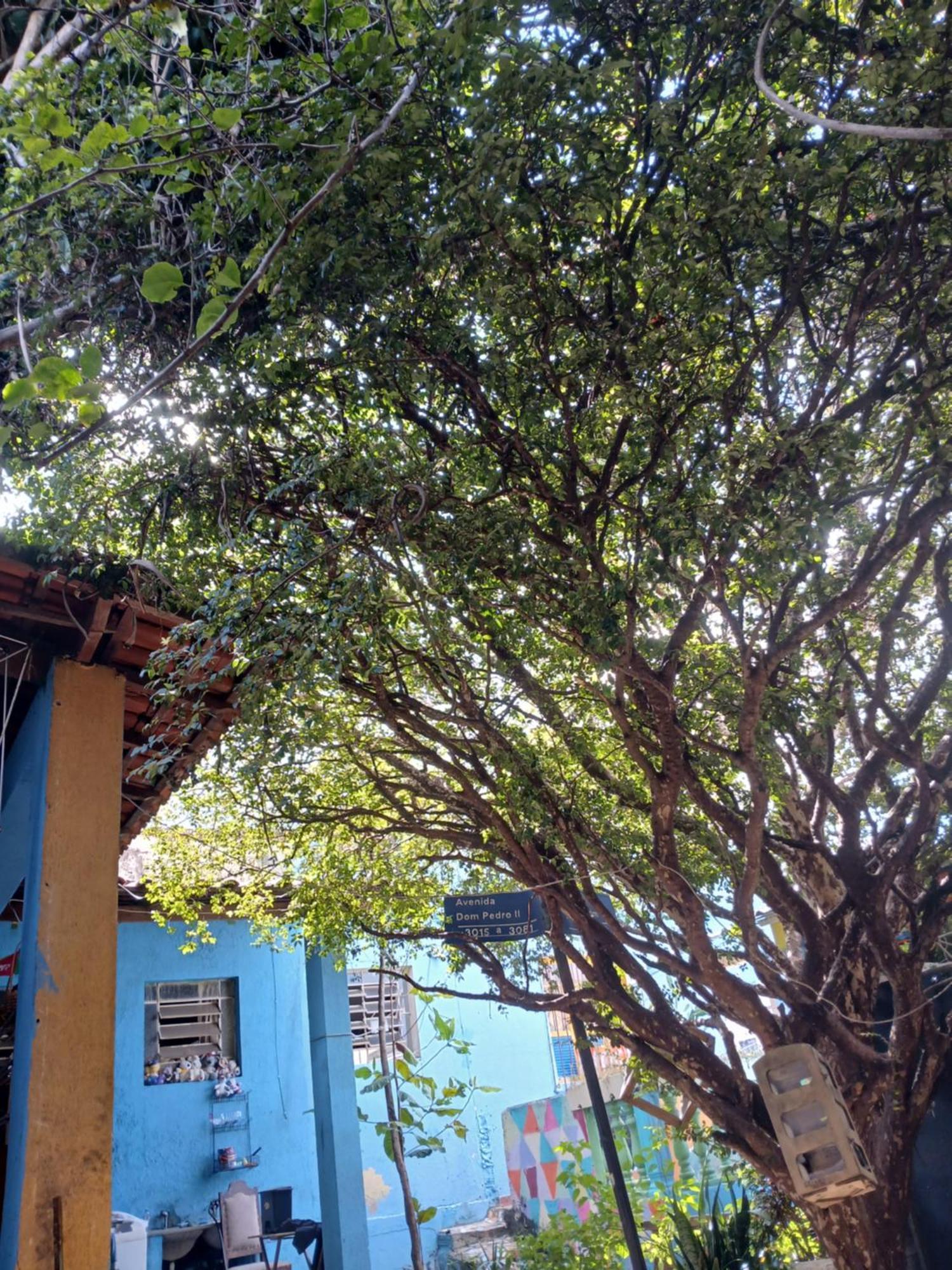 Hostel Jabuticaba Belo Horizonte Exteriér fotografie